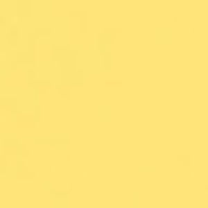 Meet your Posher, Sofia